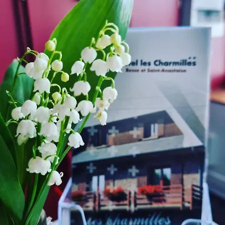 Les Charmilles