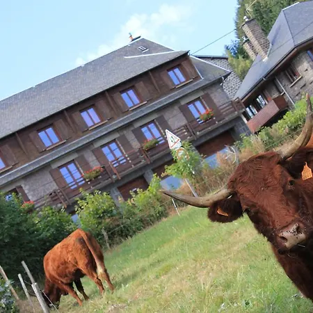 Les Charmilles Hotel Besse-et-Saint-Anastaise