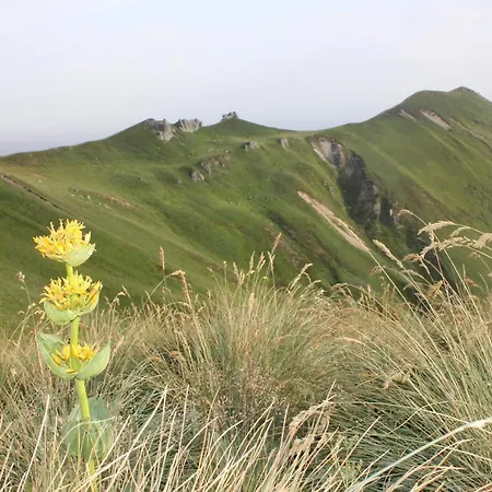 Hotel Les Charmilles Besse-et-Saint-Anastaise